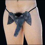 stories/170/images/elephant_thong_Michael_bought_for_Ben.jpg